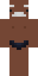 Player Skin