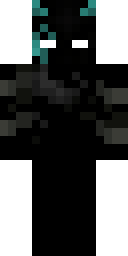 Player Skin