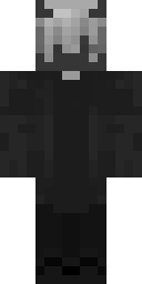 Player Skin