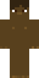 Player Skin