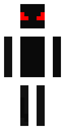 Player Skin