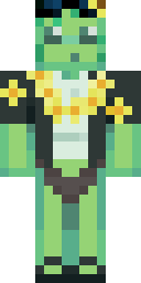 Player Skin