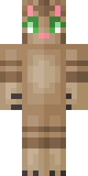 Player Skin