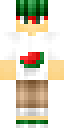 Player Skin