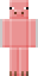 Player Skin