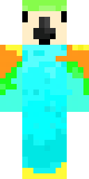 Player Skin