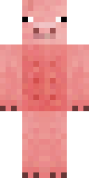 Player Skin