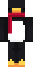 Player Skin