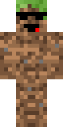 Player Skin