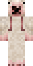 Player Skin