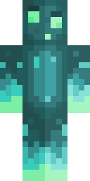 Player Skin