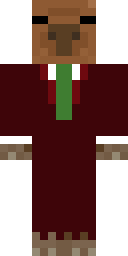 Player Skin