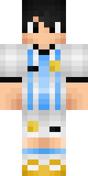 Player Skin