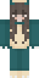 Player Skin