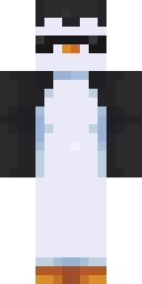 Player Skin