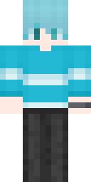 Player Skin