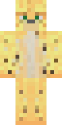 Player Skin