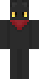 Player Skin