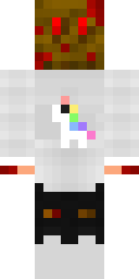 Player Skin