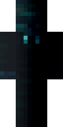 Player Skin