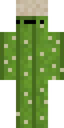 Player Skin