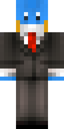 Player Skin