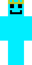Player Skin