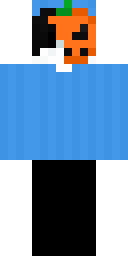 Player Skin