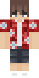Player Skin