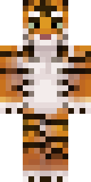 Player Skin