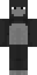 Player Skin