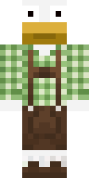 Player Skin