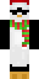 Player Skin