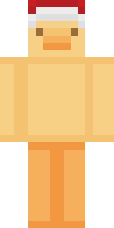 Player Skin