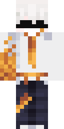 Player Skin