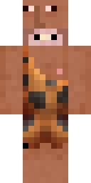 Player Skin