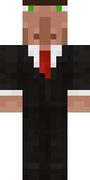 Player Skin