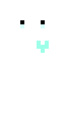 Player Skin