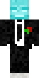 Player Skin