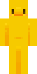 Player Skin