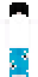 Player Skin