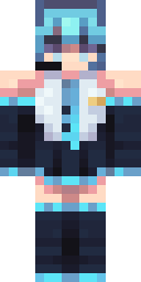 Player Skin