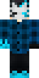 Player Skin