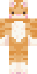 Player Skin