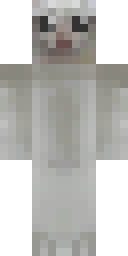 Player Skin