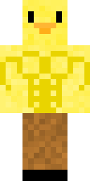 Player Skin