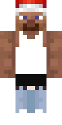 Player Skin