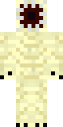 Player Skin
