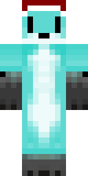 Player Skin