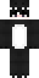 Player Skin